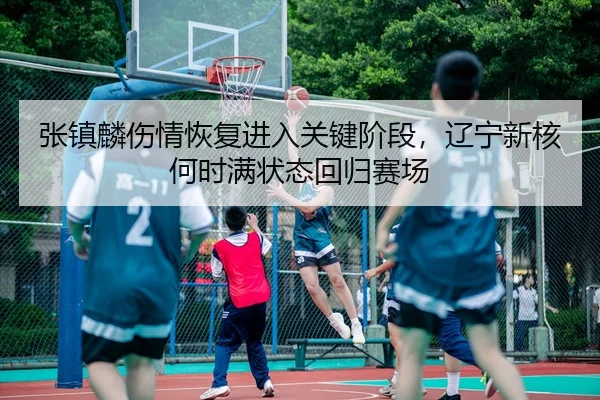 张镇麟伤情恢复进入关键阶段，辽宁新核何时满状态回归赛场